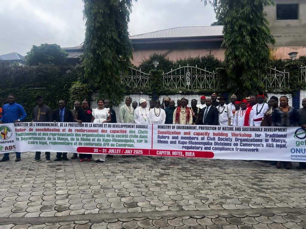 529624268 617417208073461 1750286299358293664 n