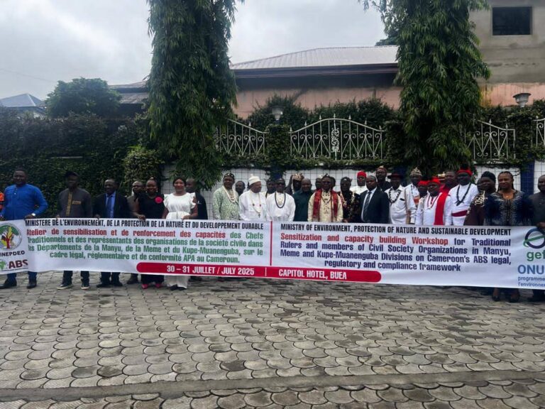 529624268 617417208073461 1750286299358293664 n