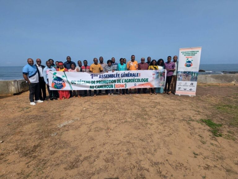 Advancing Agroecological Transition in Cameroon and the Congo Basin