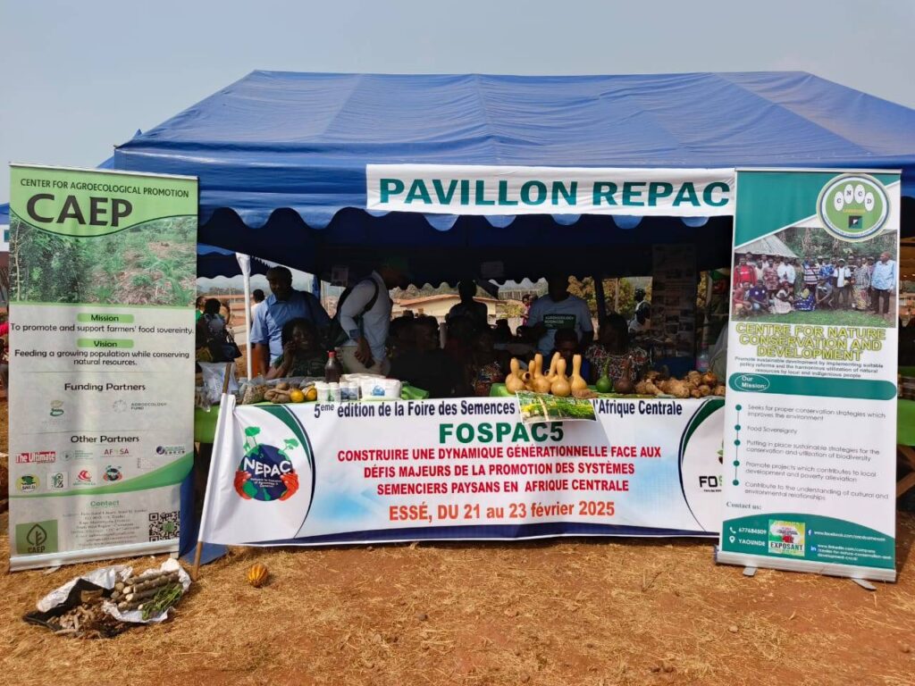 Farmers seed systems Cameroon, peasant agroecology Cameroon, youth in agriculture Africa, traditional knowledge farming Cameroon, agroecology NGO Cameroon, REPAC Cameroon, FOSPAC 5 Esse, CNCD agriculture