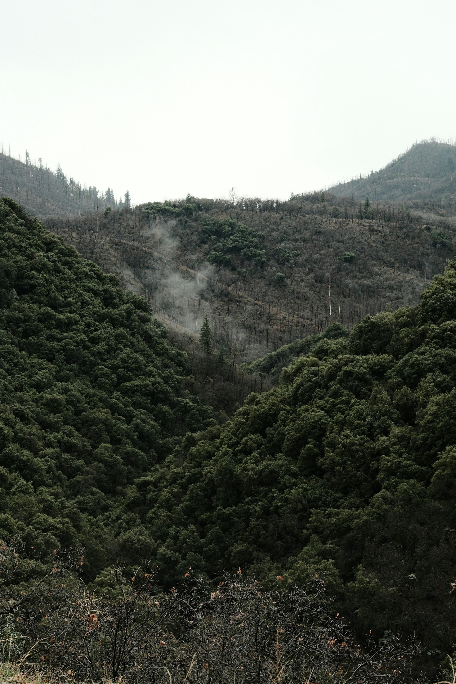 Sustainable Practices for a Greener Tomorrow