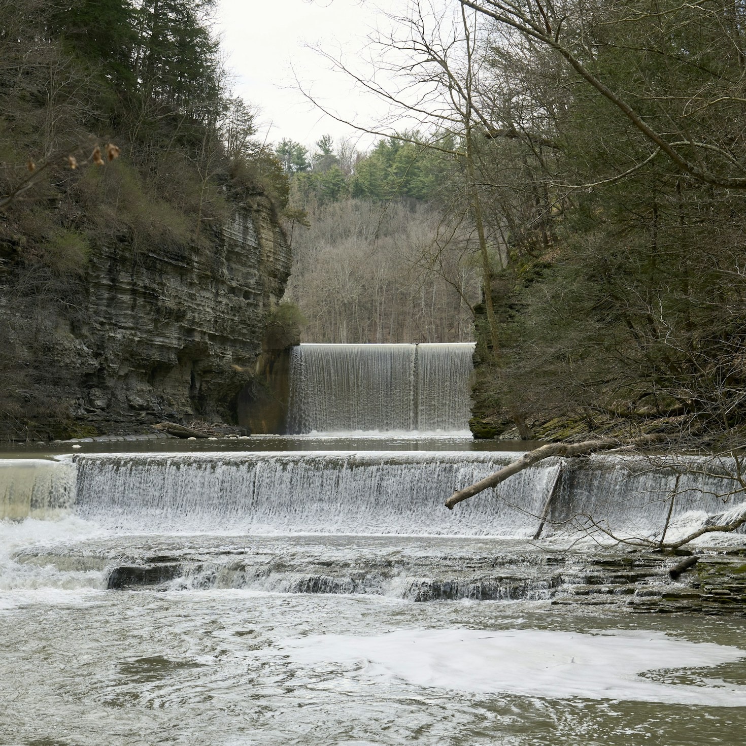 The Role of Conservation in Local Development