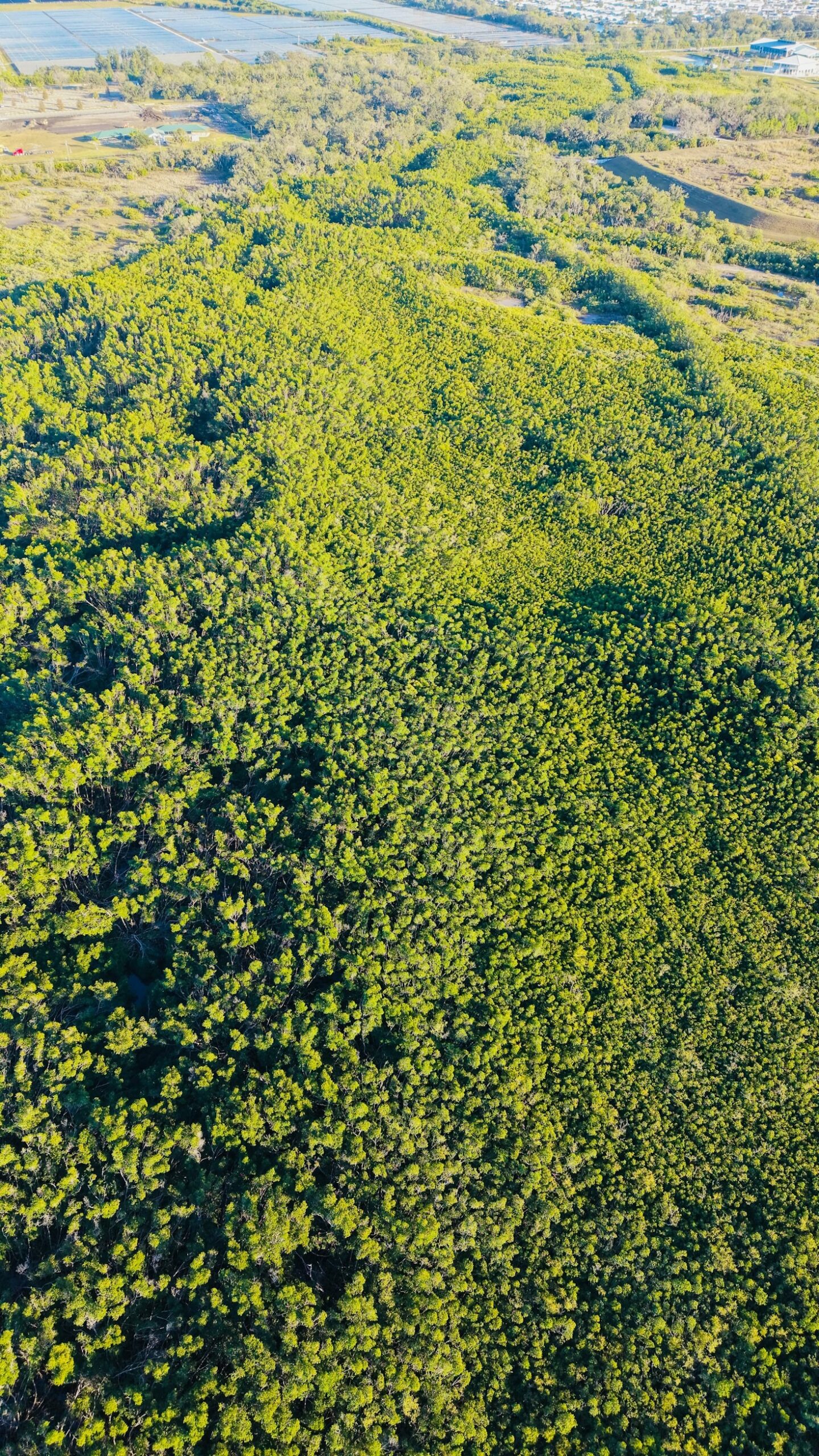 Building Resilience Through Community-Led Initiatives