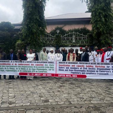 529624268 617417208073461 1750286299358293664 n