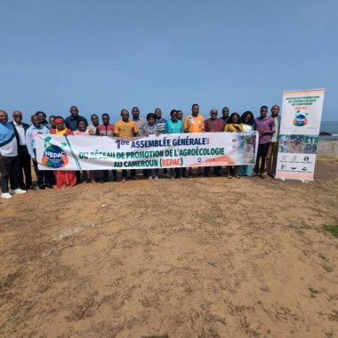 Agroecological transition is essential in Cameroon and the Congo Basin. NEPAC coordinates civil society efforts to promote agroecology through advocacy, research, collaboration, and annual General Assemblies.