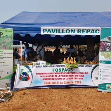 Farmers seed systems Cameroon, peasant agroecology Cameroon, youth in agriculture Africa, traditional knowledge farming Cameroon, agroecology NGO Cameroon, REPAC Cameroon, FOSPAC 5 Esse, CNCD agriculture